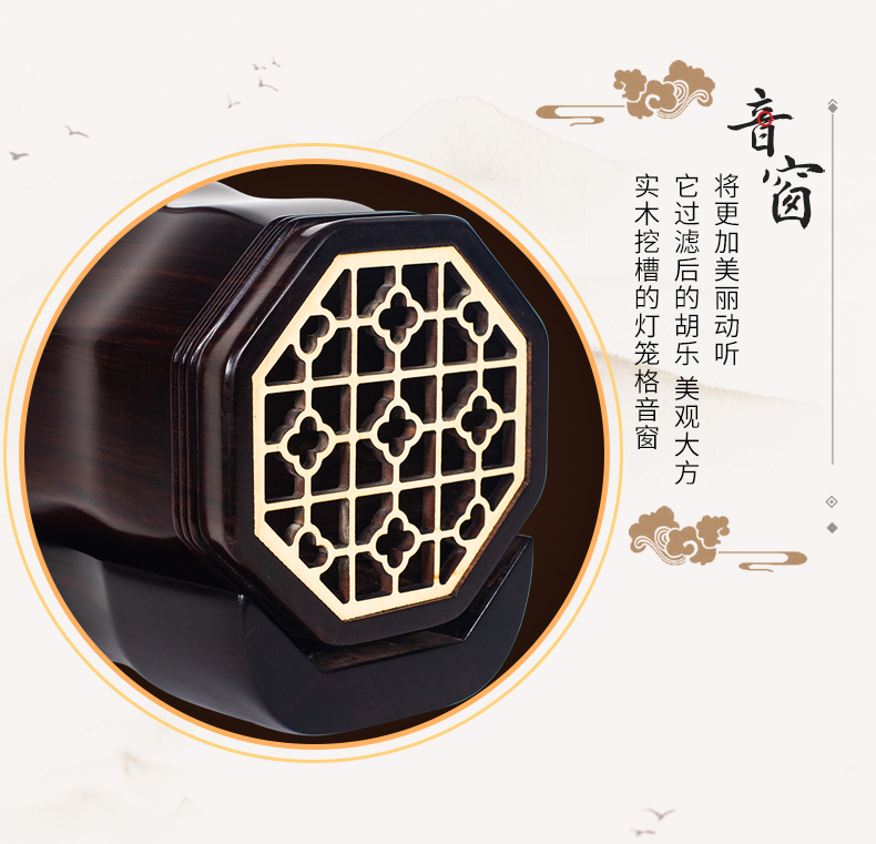 中国二胡（林生） 中国二胡（林生）